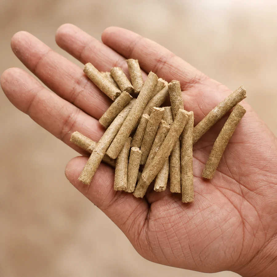 Brajwasi Feeds cattle-feed pellet sample